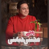 دانلود آهنگ مجتبی دیانتی پایتم